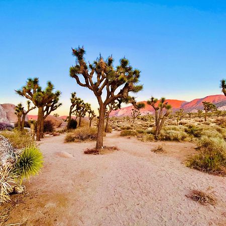 The Joshua Tree House Vila Exterior foto